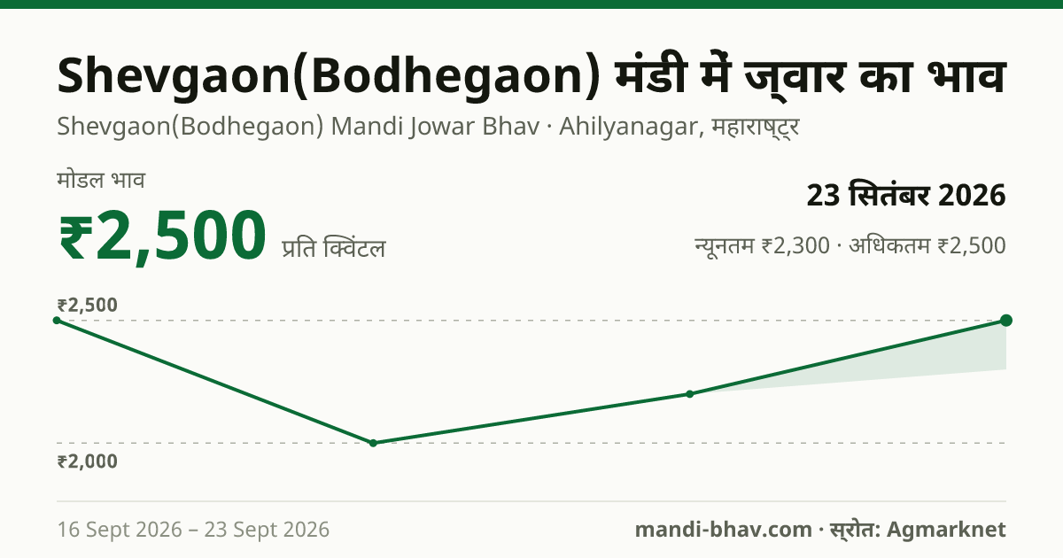 Shevgaon(Bodhegaon) मंडी में ज्वार का भाव 23 सितंबर 2026: मोडल ₹2,500 प्रति क्विंटल, भाव के रुझान का चार्ट