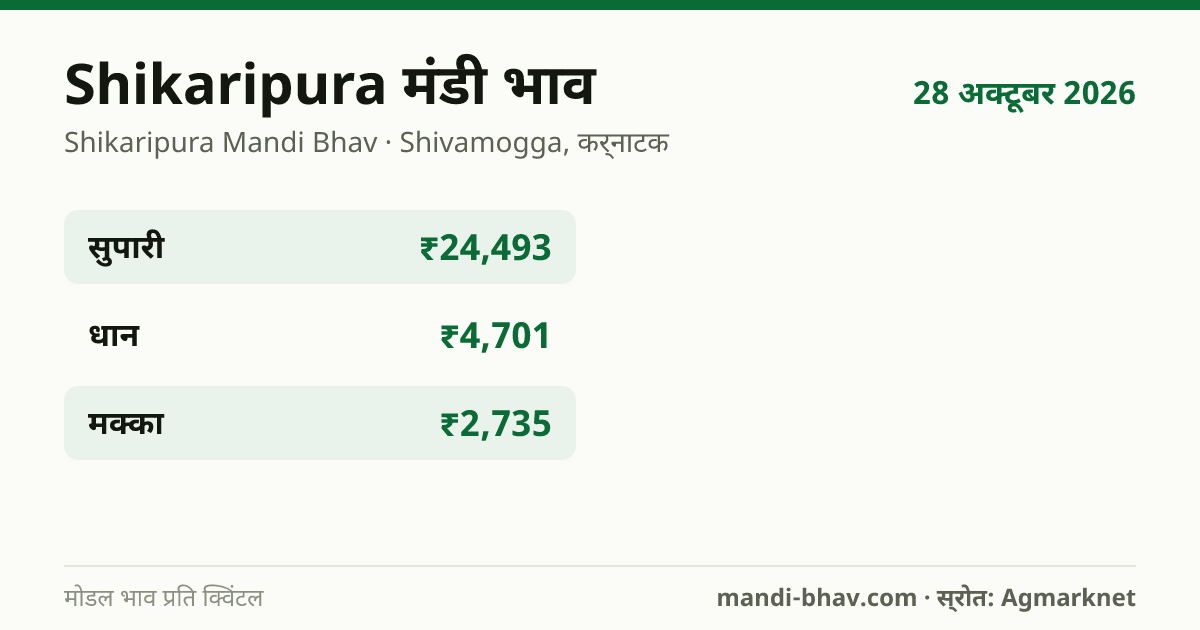 Shikaripura मंडी भाव 28 अक्टूबर 2026: फसलवार मोडल रेट प्रति क्विंटल