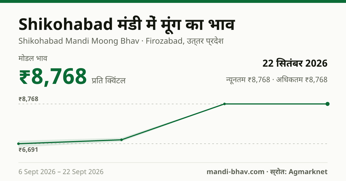 Shikohabad मंडी में मूंग का भाव 22 सितंबर 2026: मोडल ₹8,768 प्रति क्विंटल, भाव के रुझान का चार्ट