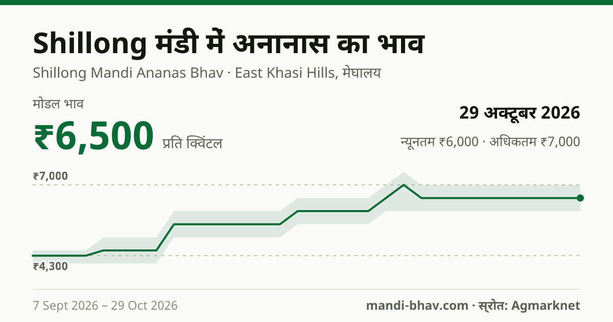 Shillong मंडी में अनानास का भाव 29 अक्टूबर 2026: मोडल ₹6,500 प्रति क्विंटल, भाव के रुझान का चार्ट