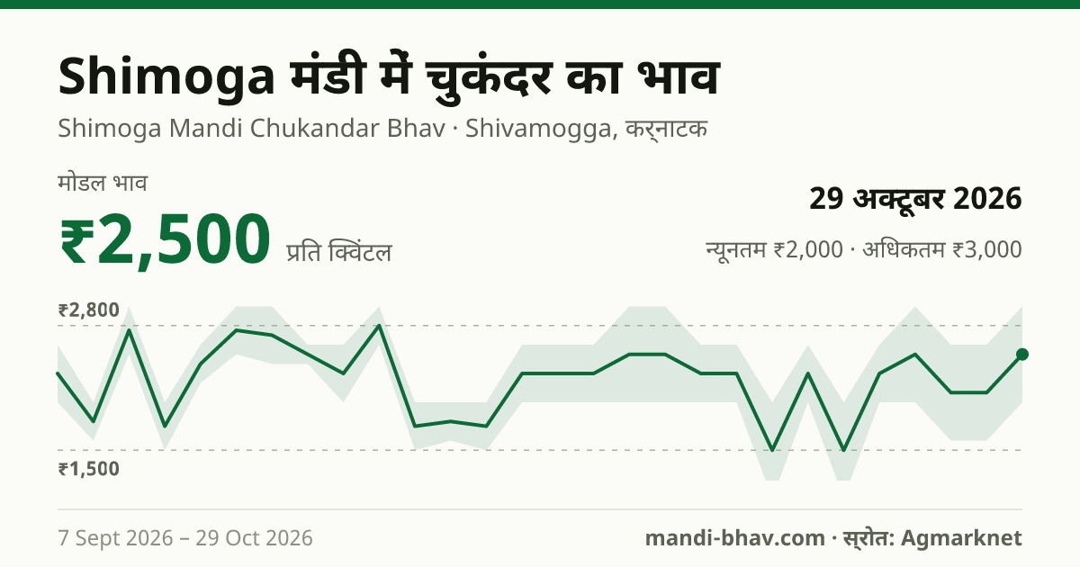 Shimoga मंडी में चुकंदर का भाव 29 अक्टूबर 2026: मोडल ₹2,500 प्रति क्विंटल, भाव के रुझान का चार्ट