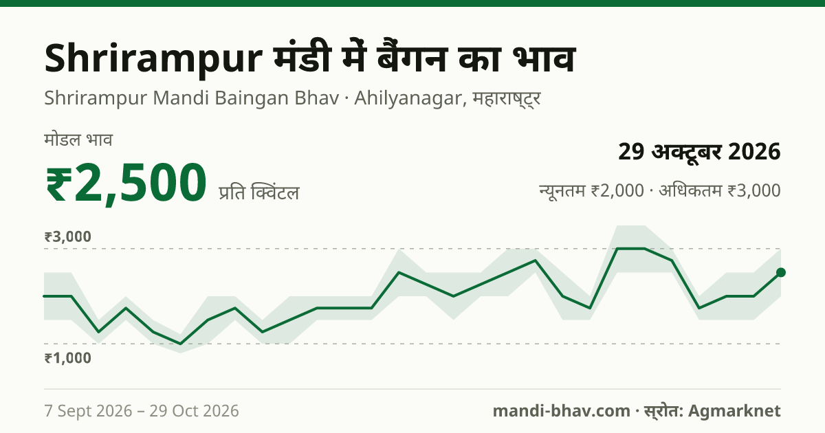 Shrirampur मंडी में बैंगन का भाव 29 अक्टूबर 2026: मोडल ₹2,500 प्रति क्विंटल, भाव के रुझान का चार्ट