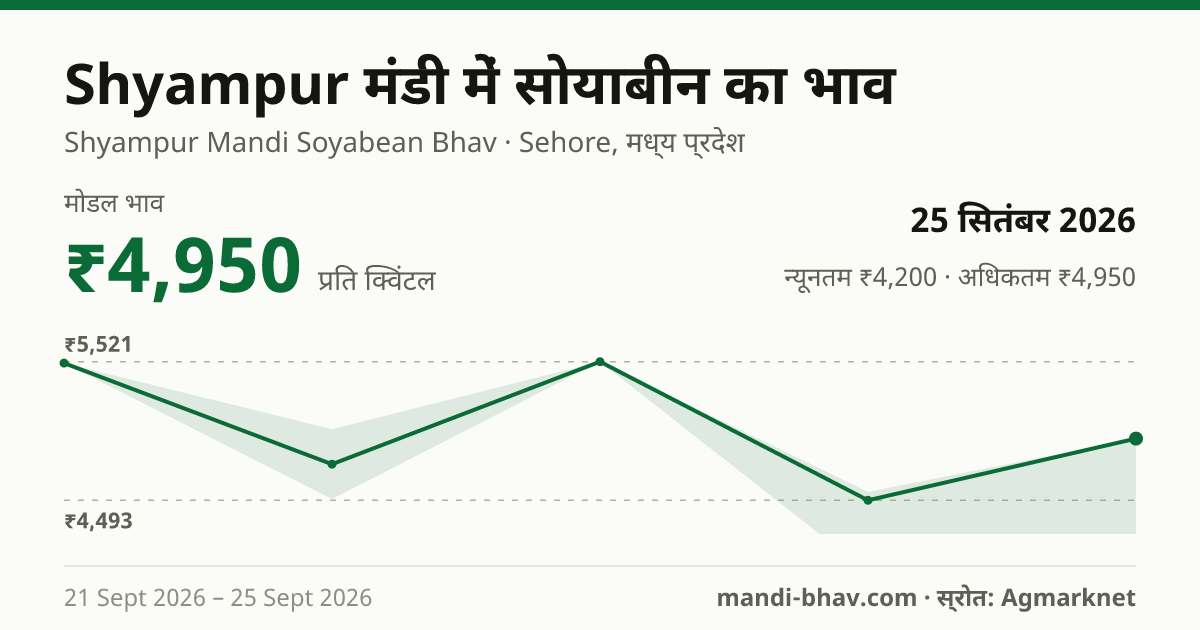 Shyampur मंडी में सोयाबीन का भाव 25 सितंबर 2026: मोडल ₹4,950 प्रति क्विंटल, भाव के रुझान का चार्ट