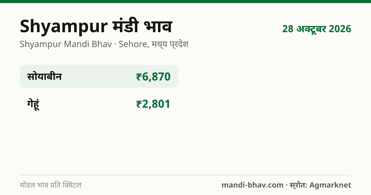 Shyampur मंडी भाव 28 अक्टूबर 2026: फसलवार मोडल रेट प्रति क्विंटल