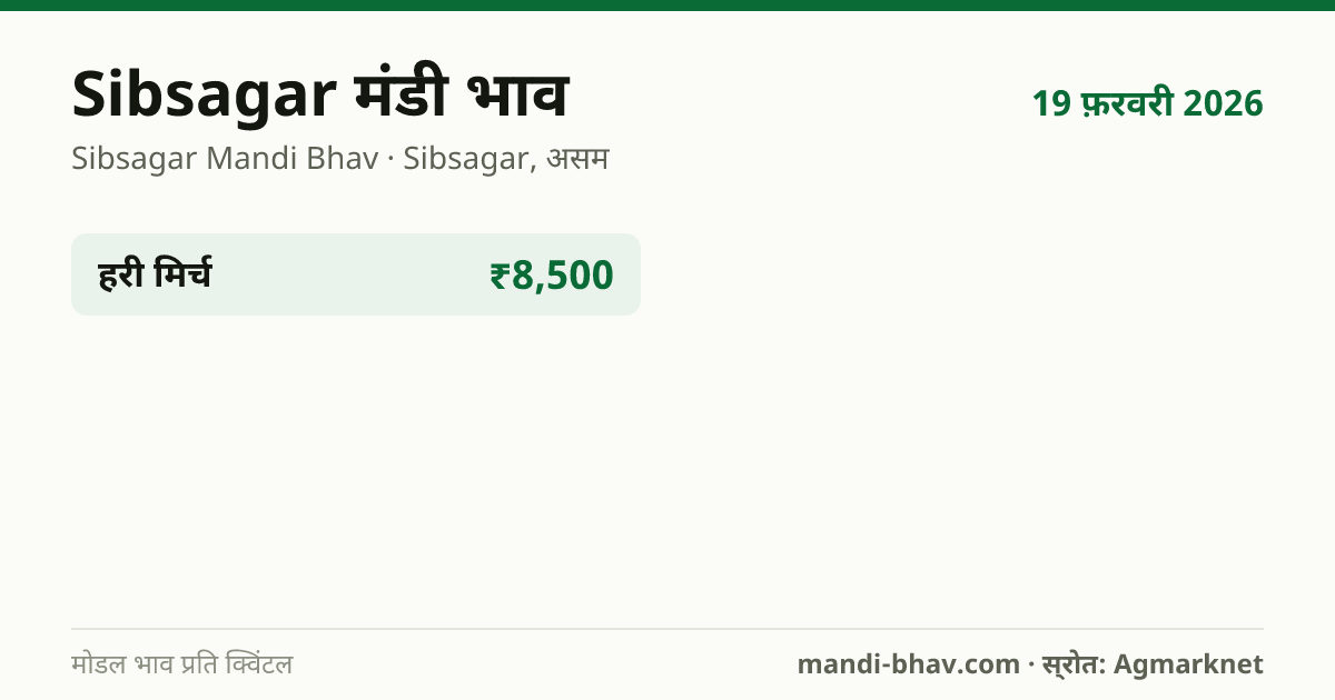 Sibsagar मंडी भाव 19 फ़रवरी 2026: फसलवार मोडल रेट प्रति क्विंटल