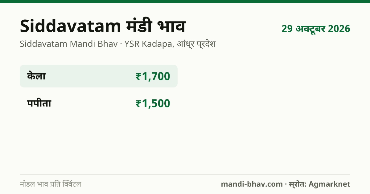 Siddavatam मंडी भाव 29 अक्टूबर 2026: फसलवार मोडल रेट प्रति क्विंटल