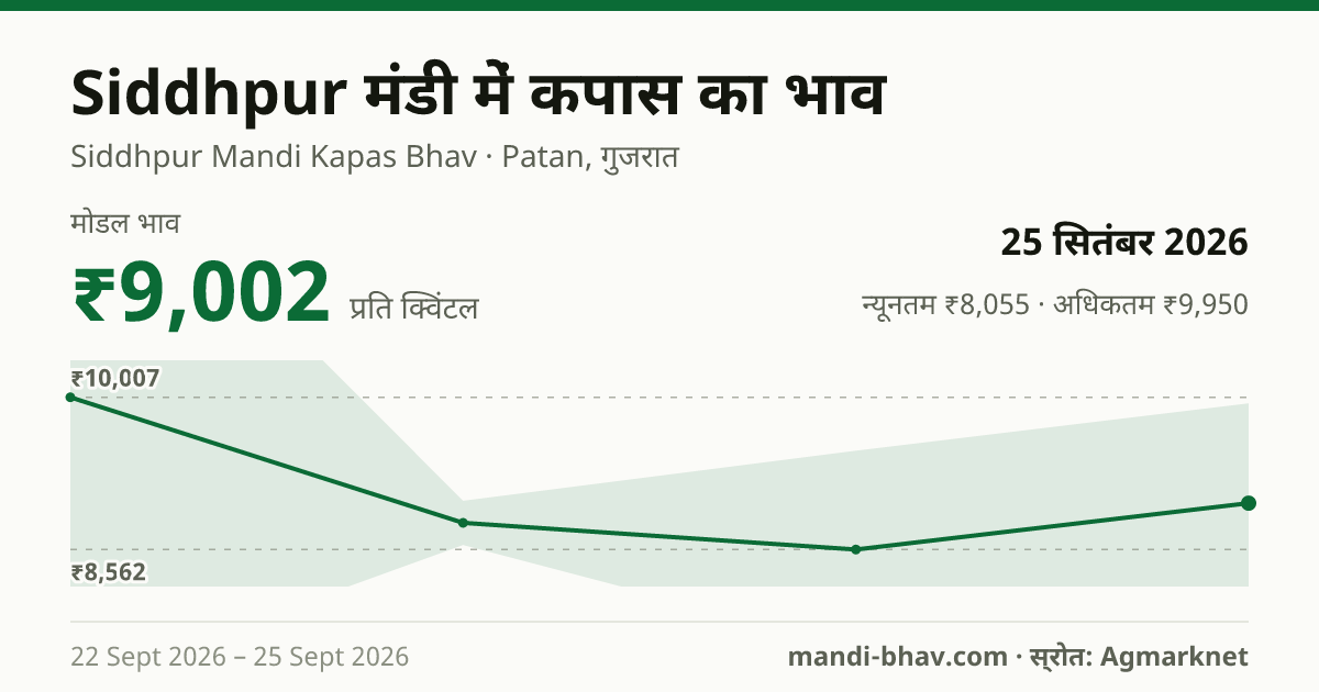 Siddhpur मंडी में कपास का भाव 25 सितंबर 2026: मोडल ₹9,002 प्रति क्विंटल, भाव के रुझान का चार्ट