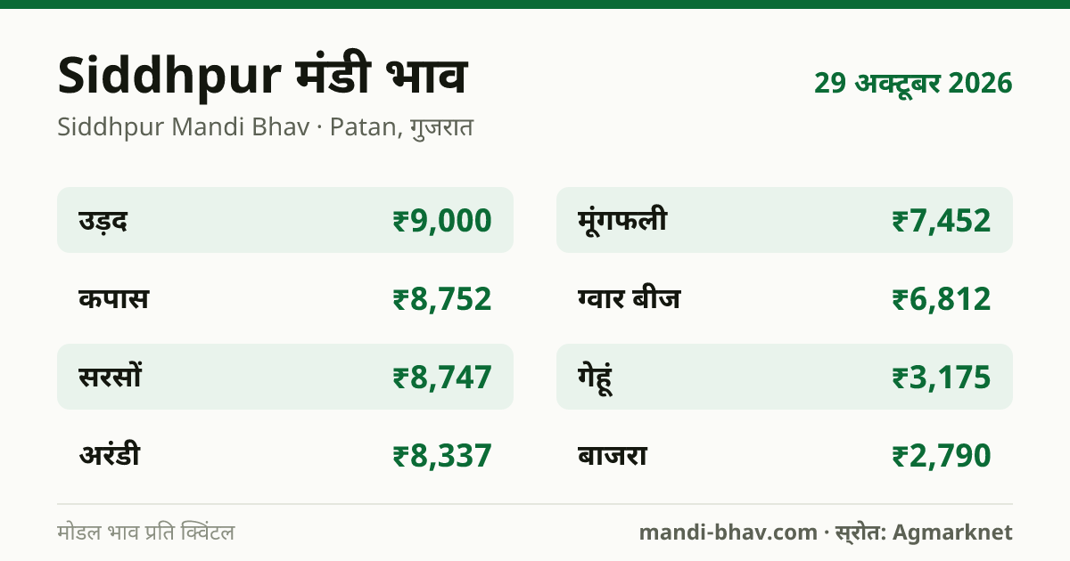 Siddhpur मंडी भाव 29 अक्टूबर 2026: फसलवार मोडल रेट प्रति क्विंटल