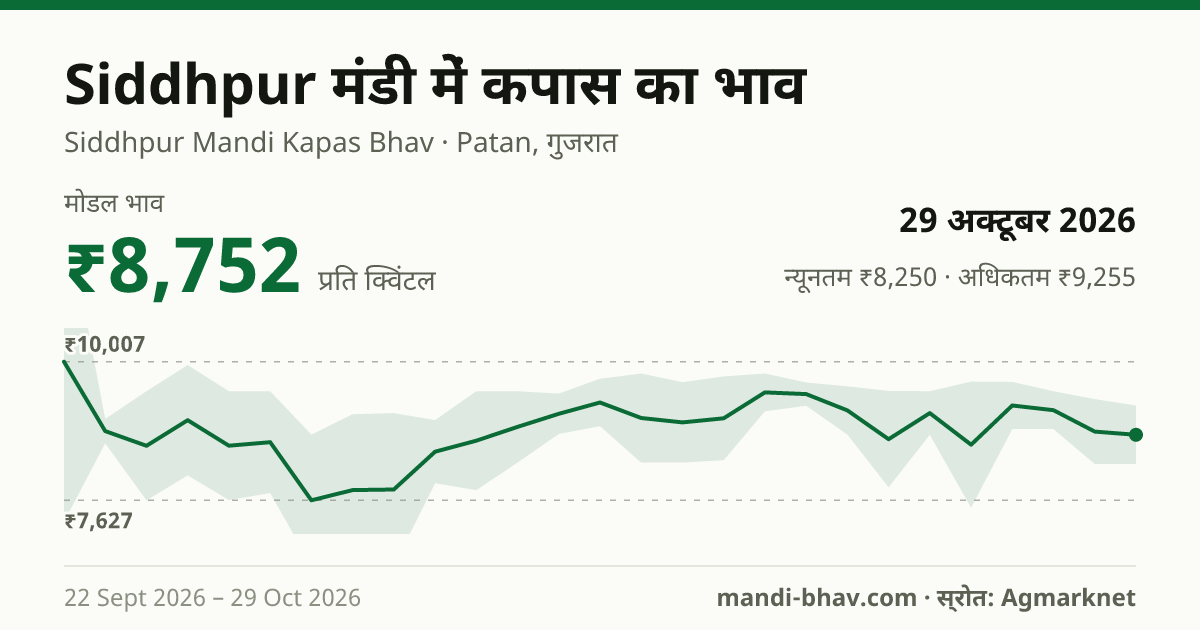 Siddhpur मंडी में कपास का भाव 29 अक्टूबर 2026: मोडल ₹8,752 प्रति क्विंटल, भाव के रुझान का चार्ट