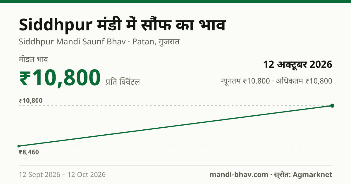 Siddhpur मंडी में सौंफ का भाव 12 अक्टूबर 2026: मोडल ₹10,800 प्रति क्विंटल, भाव के रुझान का चार्ट