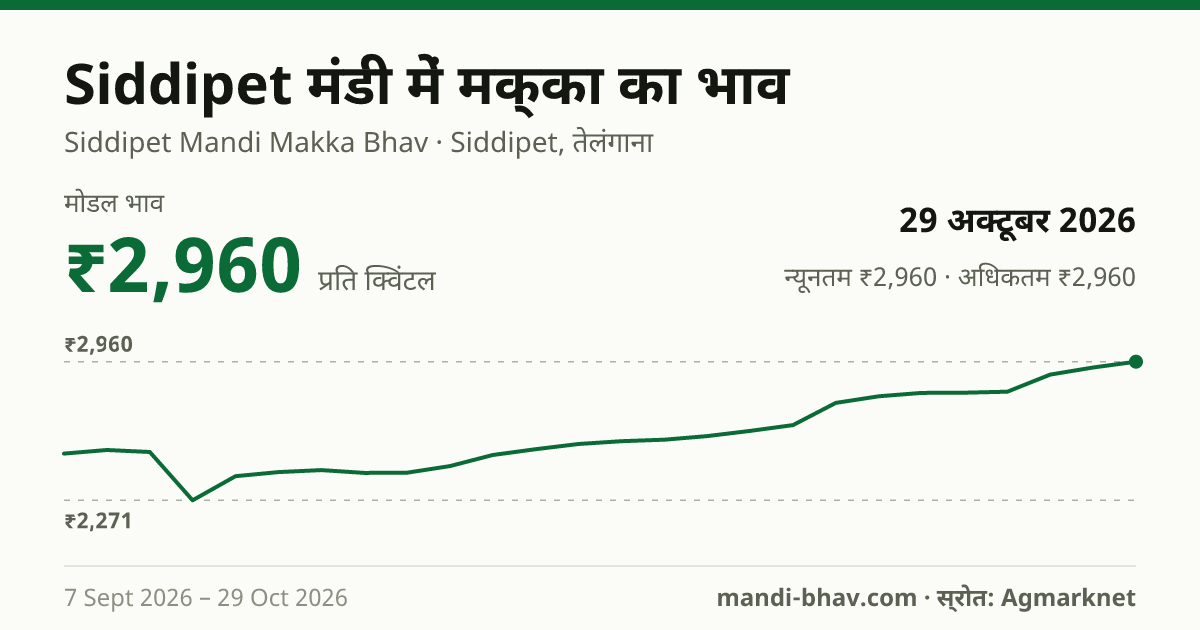 Siddipet मंडी में मक्का का भाव 29 अक्टूबर 2026: मोडल ₹2,960 प्रति क्विंटल, भाव के रुझान का चार्ट