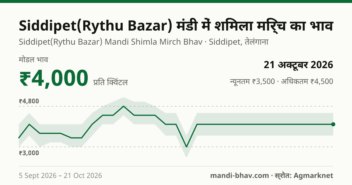 Siddipet(Rythu Bazar) मंडी में शिमला मिर्च का भाव 21 अक्टूबर 2026: मोडल ₹4,000 प्रति क्विंटल, भाव के रुझान का चार्ट