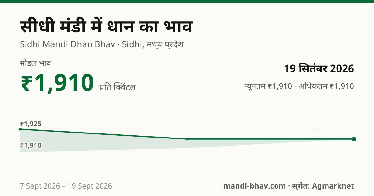 सीधी मंडी में धान का भाव 19 सितंबर 2026: मोडल ₹1,910 प्रति क्विंटल, भाव के रुझान का चार्ट