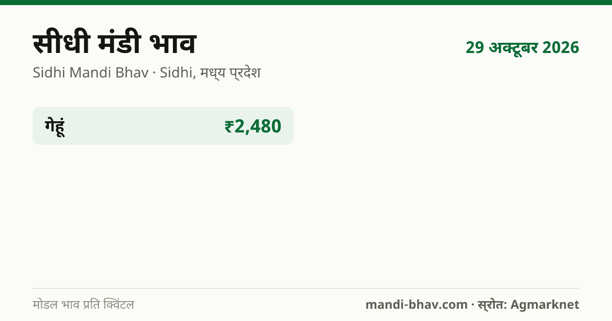 सीधी मंडी भाव 29 अक्टूबर 2026: फसलवार मोडल रेट प्रति क्विंटल