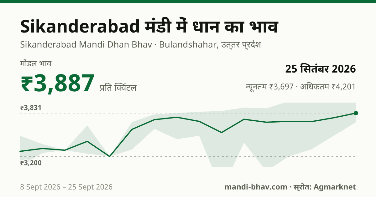 Sikanderabad मंडी में धान का भाव 25 सितंबर 2026: मोडल ₹3,887 प्रति क्विंटल, भाव के रुझान का चार्ट