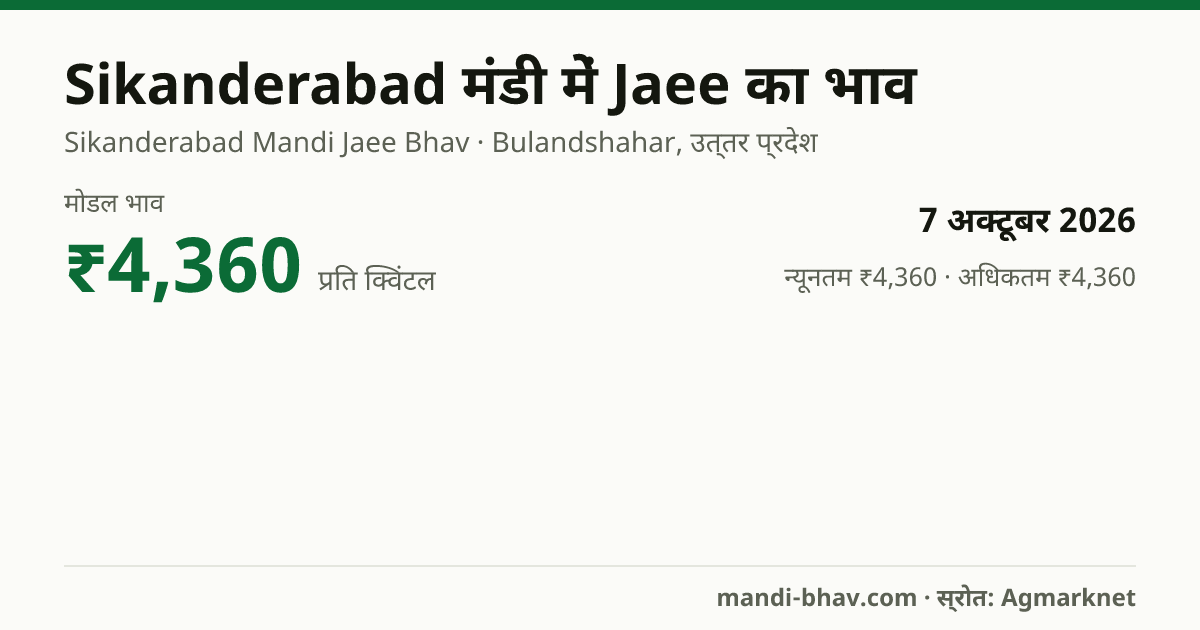 Sikanderabad मंडी में Jaee का भाव 7 अक्टूबर 2026: मोडल ₹4,360 प्रति क्विंटल, भाव के रुझान का चार्ट
