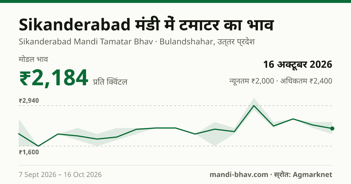 Sikanderabad मंडी में टमाटर का भाव 16 अक्टूबर 2026: मोडल ₹2,184 प्रति क्विंटल, भाव के रुझान का चार्ट