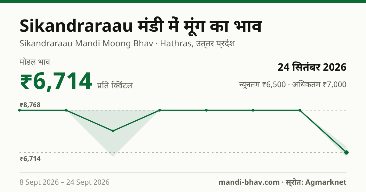 Sikandraraau मंडी में मूंग का भाव 24 सितंबर 2026: मोडल ₹6,714 प्रति क्विंटल, भाव के रुझान का चार्ट