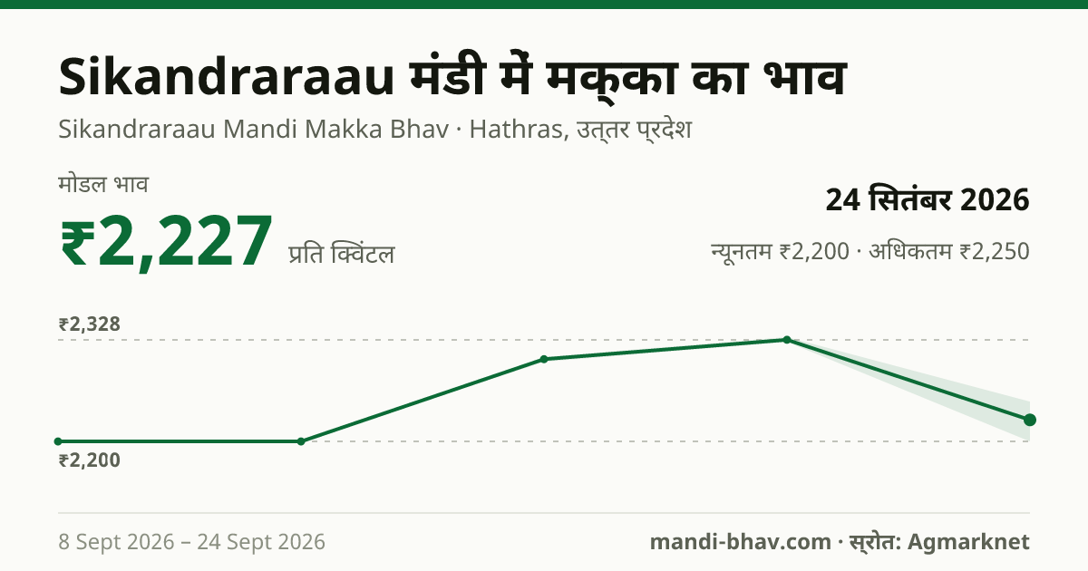 Sikandraraau मंडी में मक्का का भाव 24 सितंबर 2026: मोडल ₹2,227 प्रति क्विंटल, भाव के रुझान का चार्ट