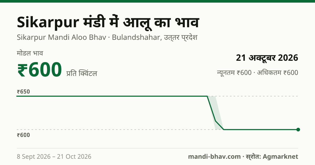 Sikarpur मंडी में आलू का भाव 21 अक्टूबर 2026: मोडल ₹600 प्रति क्विंटल, भाव के रुझान का चार्ट