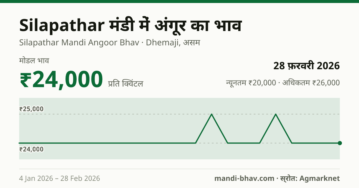 Silapathar मंडी में अंगूर का भाव 28 फ़रवरी 2026: मोडल ₹24,000 प्रति क्विंटल, भाव के रुझान का चार्ट