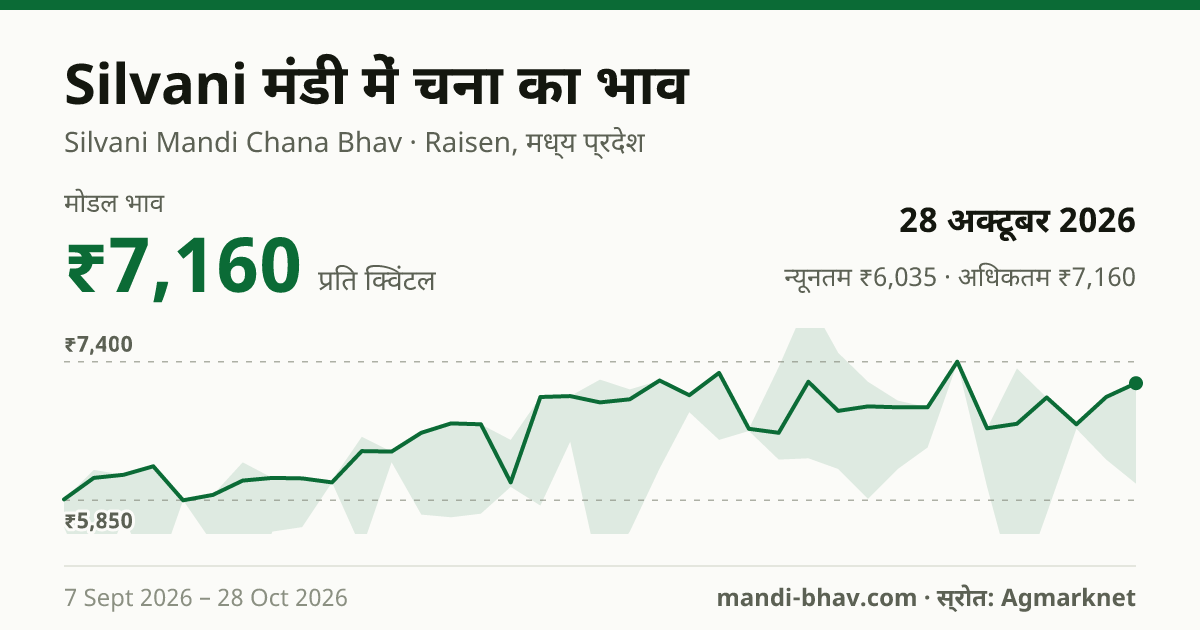 Silvani मंडी में चना का भाव 28 अक्टूबर 2026: मोडल ₹7,160 प्रति क्विंटल, भाव के रुझान का चार्ट