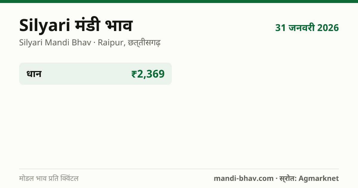 Silyari मंडी भाव 31 जनवरी 2026: फसलवार मोडल रेट प्रति क्विंटल