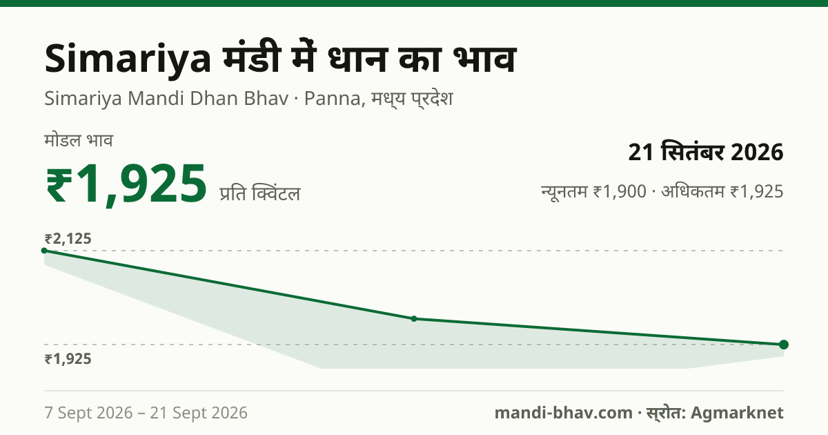 Simariya मंडी में धान का भाव 21 सितंबर 2026: मोडल ₹1,925 प्रति क्विंटल, भाव के रुझान का चार्ट