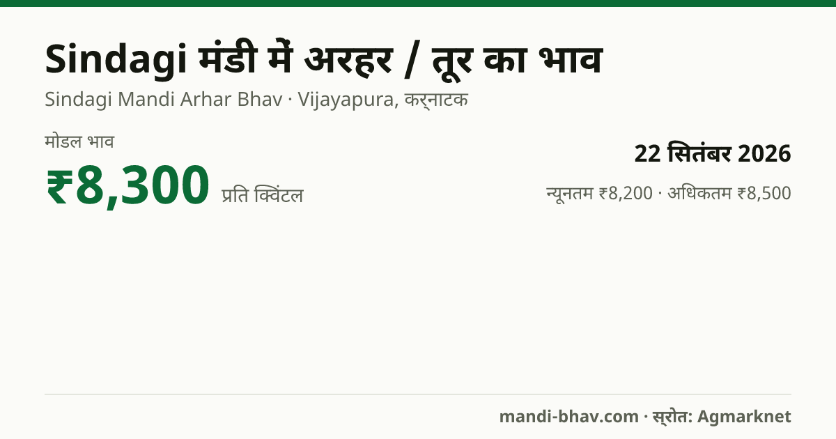 Sindagi मंडी में अरहर / तूर का भाव 22 सितंबर 2026: मोडल ₹8,300 प्रति क्विंटल, भाव के रुझान का चार्ट