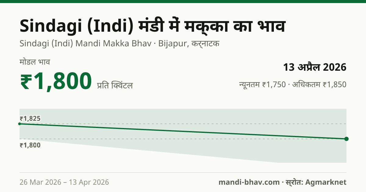 Sindagi (Indi) मंडी में मक्का का भाव 13 अप्रैल 2026: मोडल ₹1,800 प्रति क्विंटल, भाव के रुझान का चार्ट