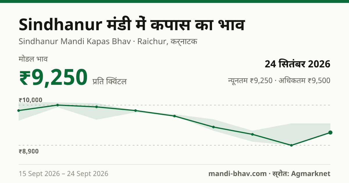Sindhanur मंडी में कपास का भाव 24 सितंबर 2026: मोडल ₹9,250 प्रति क्विंटल, भाव के रुझान का चार्ट