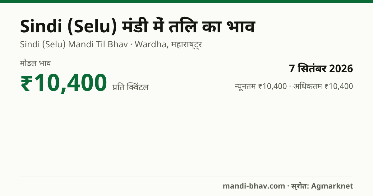 Sindi (Selu) मंडी में तिल का भाव 7 सितंबर 2026: मोडल ₹10,400 प्रति क्विंटल, भाव के रुझान का चार्ट