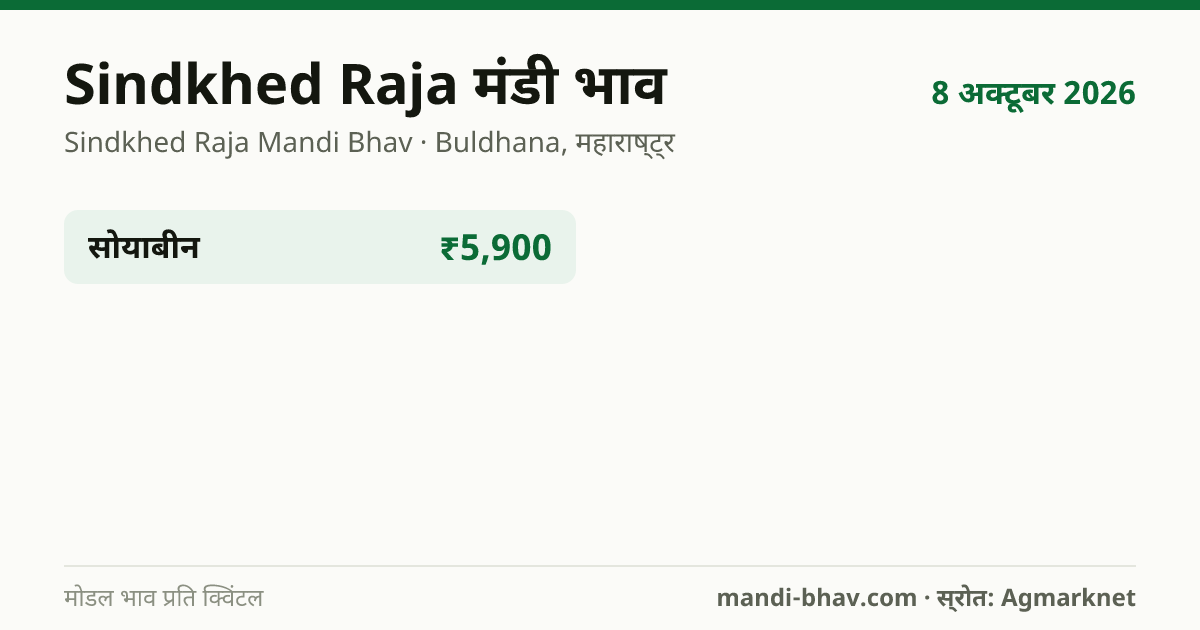 Sindkhed Raja मंडी भाव 8 अक्टूबर 2026: फसलवार मोडल रेट प्रति क्विंटल
