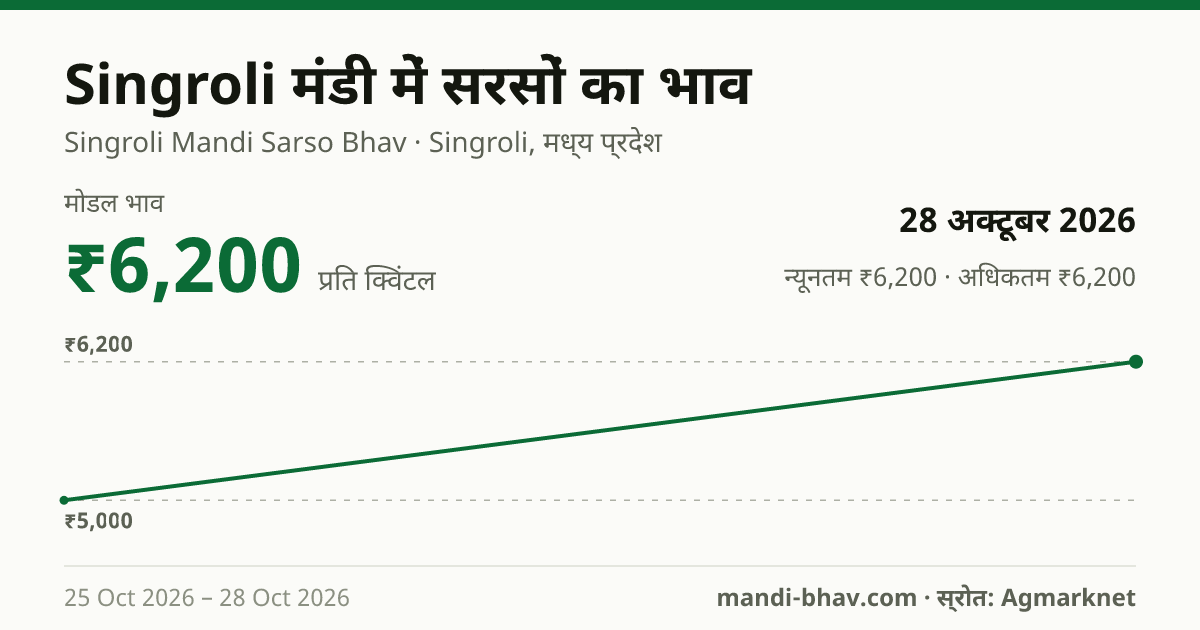 Singroli मंडी में सरसों का भाव 28 अक्टूबर 2026: मोडल ₹6,200 प्रति क्विंटल, भाव के रुझान का चार्ट