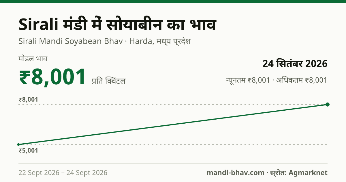 Sirali मंडी में सोयाबीन का भाव 24 सितंबर 2026: मोडल ₹8,001 प्रति क्विंटल, भाव के रुझान का चार्ट