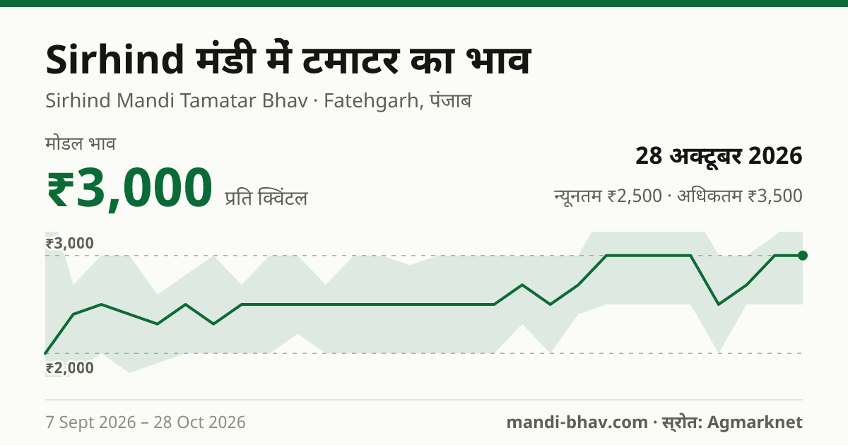 Sirhind मंडी में टमाटर का भाव 28 अक्टूबर 2026: मोडल ₹3,000 प्रति क्विंटल, भाव के रुझान का चार्ट