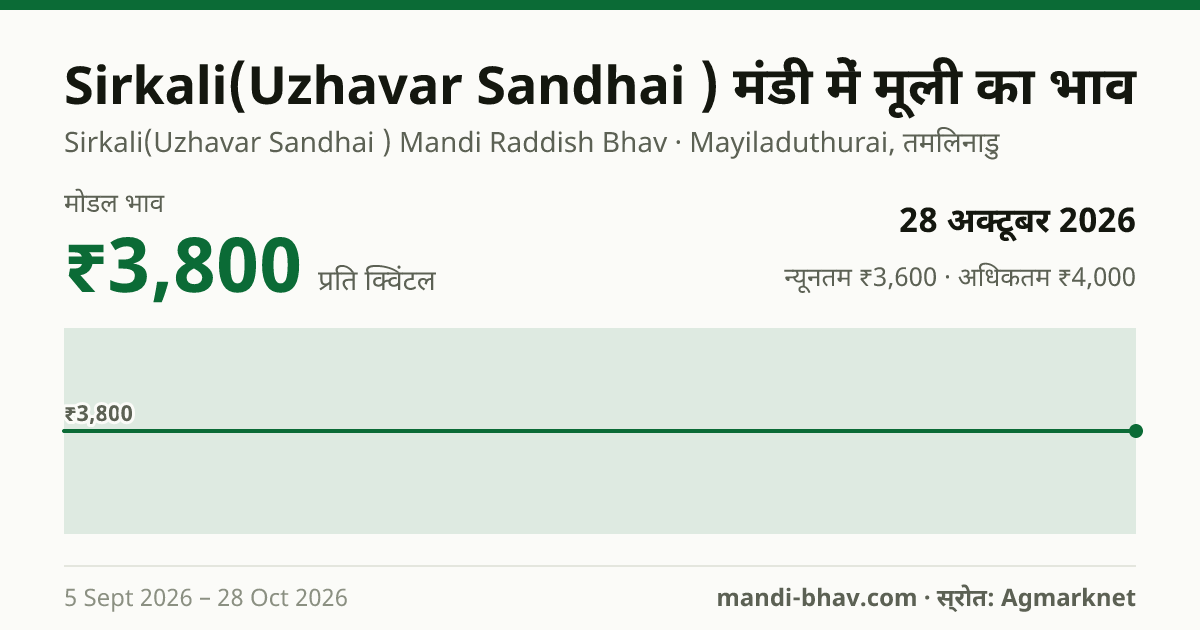 Sirkali(Uzhavar Sandhai ) मंडी में मूली का भाव 28 अक्टूबर 2026: मोडल ₹3,800 प्रति क्विंटल, भाव के रुझान का चार्ट