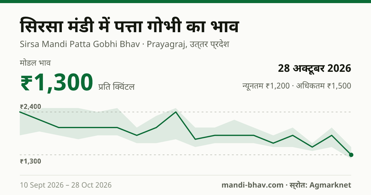 सिरसा मंडी में पत्ता गोभी का भाव 28 अक्टूबर 2026: मोडल ₹1,300 प्रति क्विंटल, भाव के रुझान का चार्ट