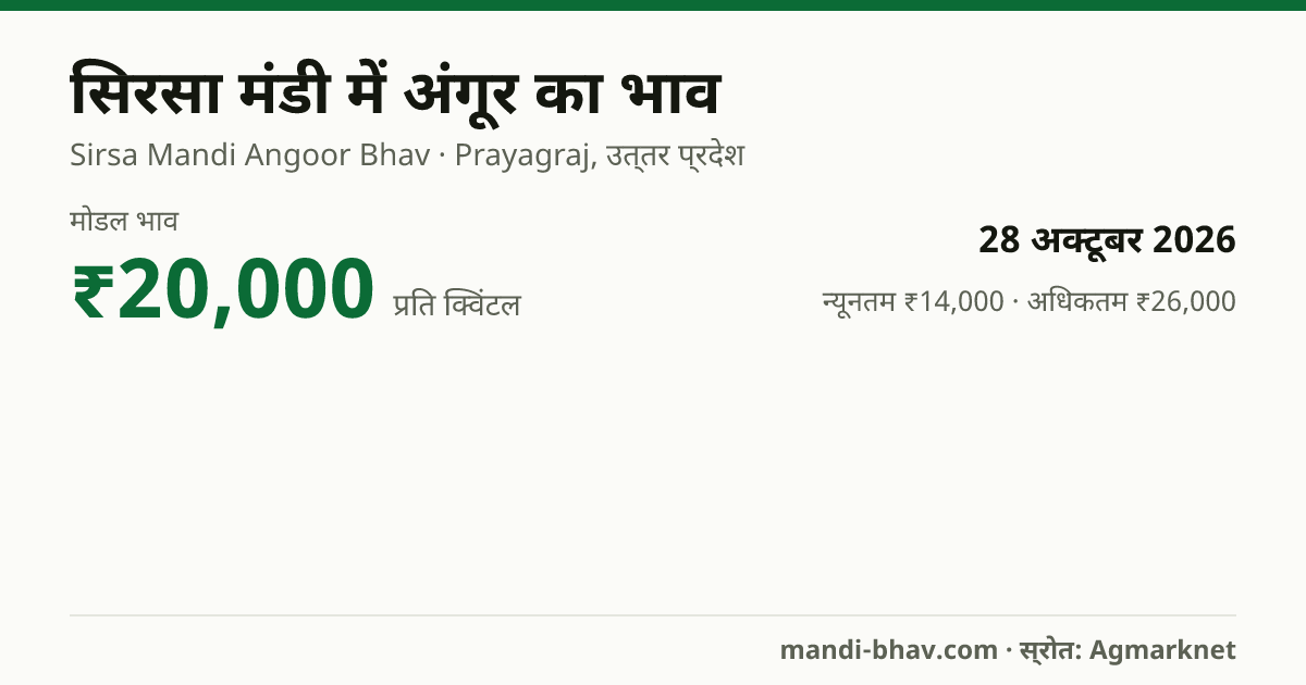 सिरसा मंडी में अंगूर का भाव 28 अक्टूबर 2026: मोडल ₹20,000 प्रति क्विंटल, भाव के रुझान का चार्ट