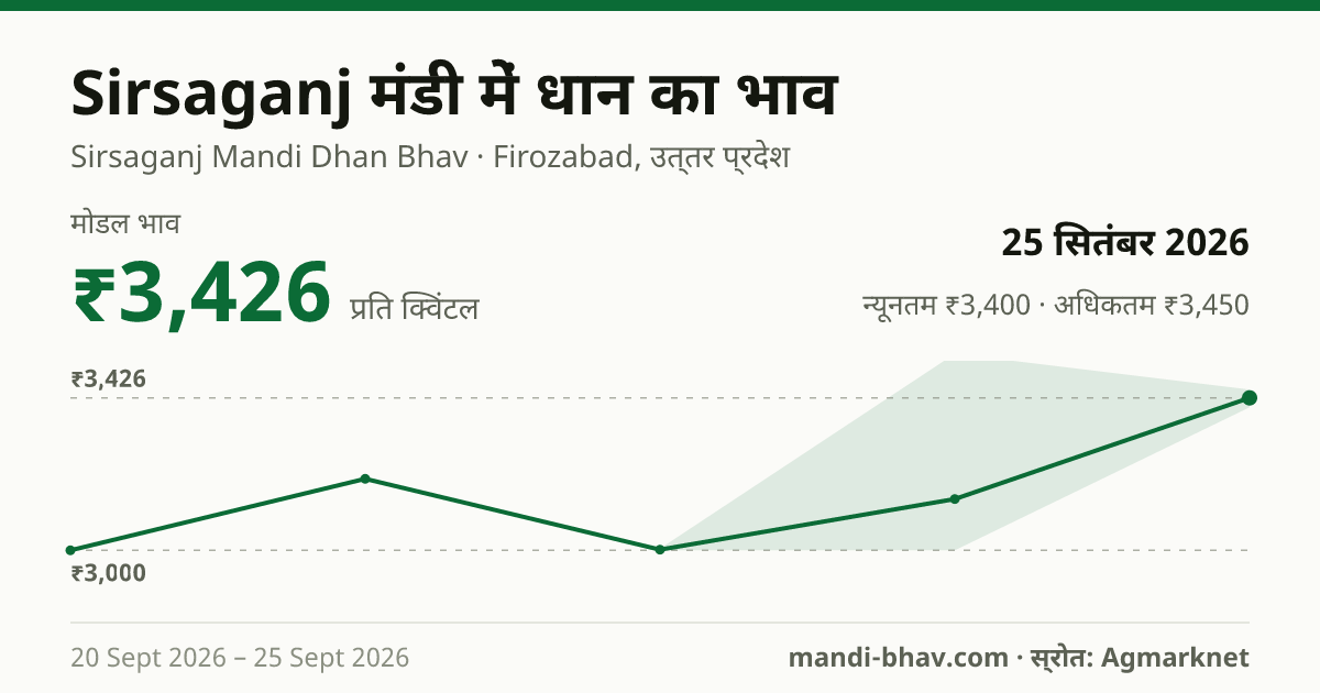 Sirsaganj मंडी में धान का भाव 25 सितंबर 2026: मोडल ₹3,426 प्रति क्विंटल, भाव के रुझान का चार्ट