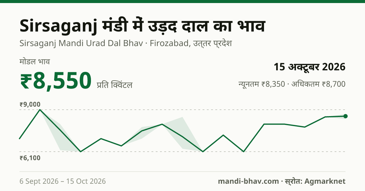 Sirsaganj मंडी में उड़द दाल का भाव 15 अक्टूबर 2026: मोडल ₹8,550 प्रति क्विंटल, भाव के रुझान का चार्ट