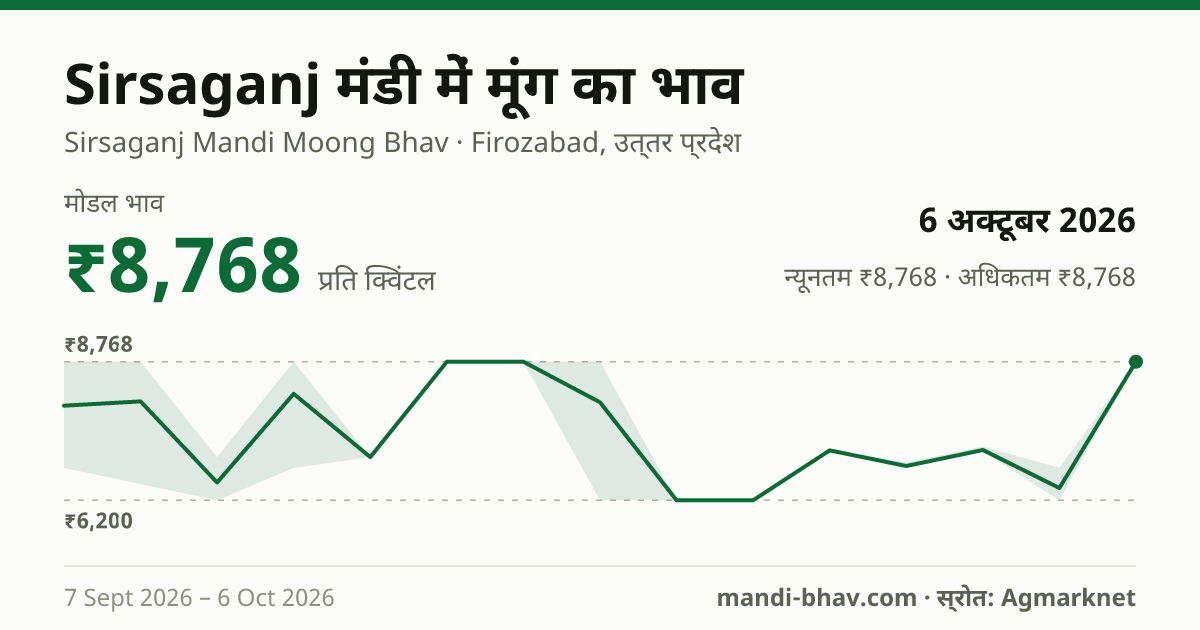 Sirsaganj मंडी में मूंग का भाव 6 अक्टूबर 2026: मोडल ₹8,768 प्रति क्विंटल, भाव के रुझान का चार्ट