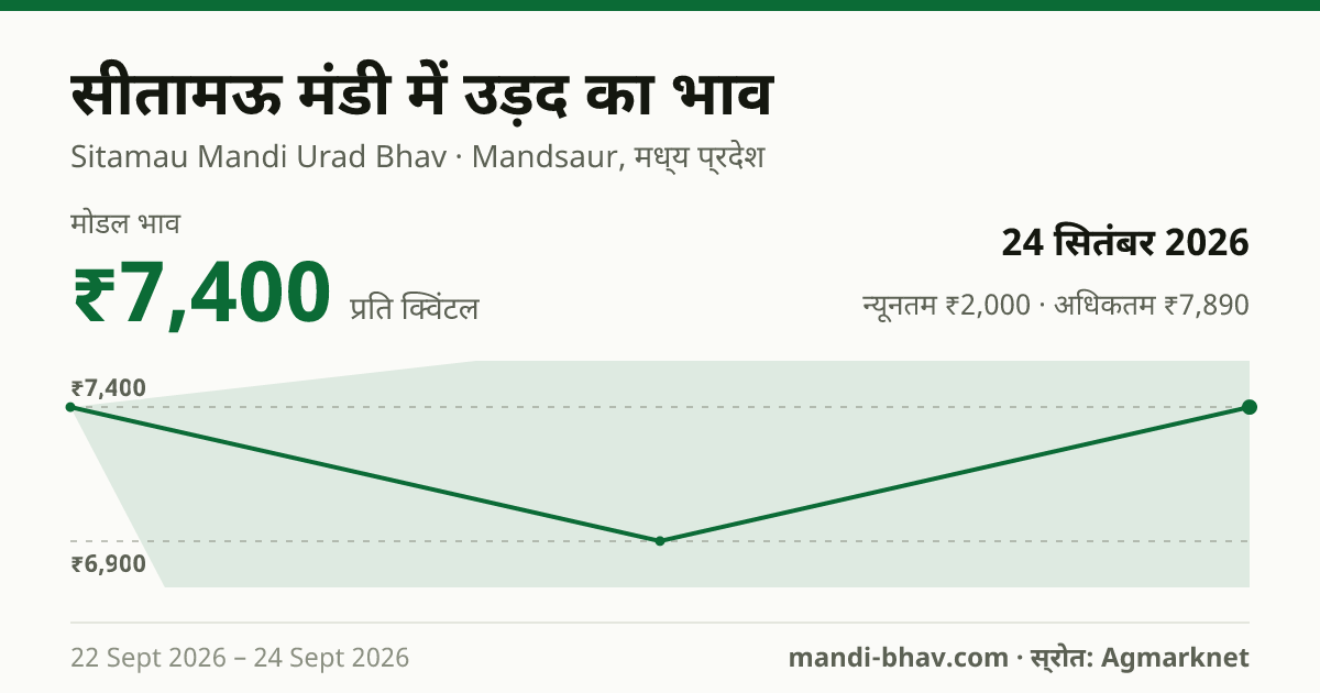 सीतामऊ मंडी में उड़द का भाव 24 सितंबर 2026: मोडल ₹7,400 प्रति क्विंटल, भाव के रुझान का चार्ट