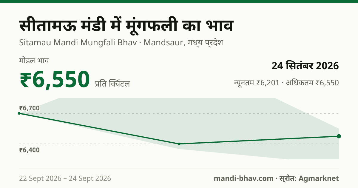 सीतामऊ मंडी में मूंगफली का भाव 24 सितंबर 2026: मोडल ₹6,550 प्रति क्विंटल, भाव के रुझान का चार्ट