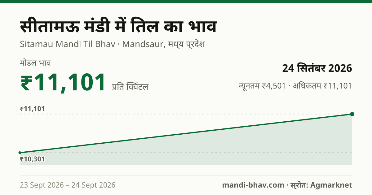 सीतामऊ मंडी में तिल का भाव 24 सितंबर 2026: मोडल ₹11,101 प्रति क्विंटल, भाव के रुझान का चार्ट