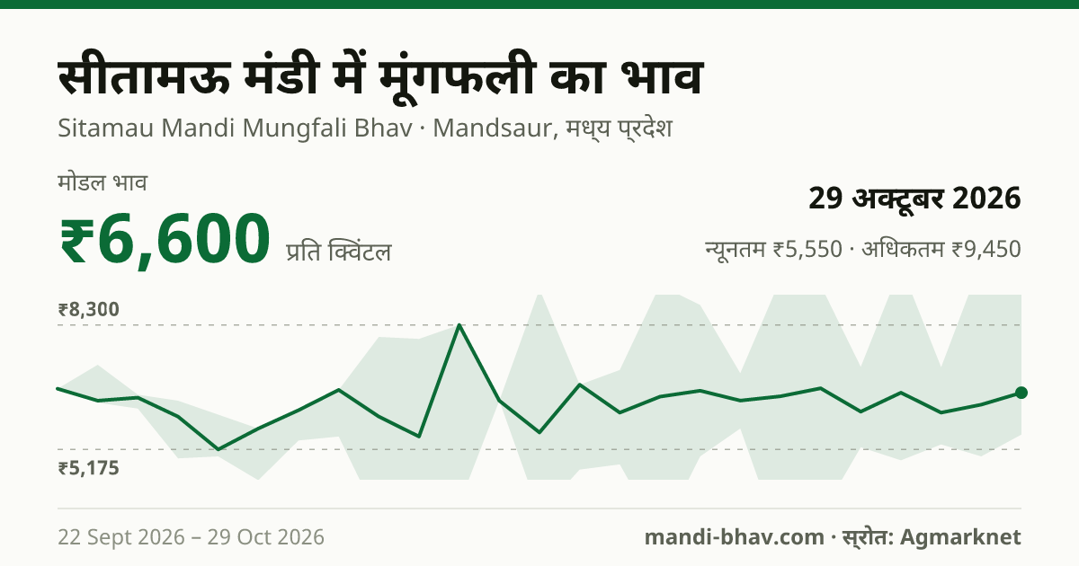 सीतामऊ मंडी में मूंगफली का भाव 29 अक्टूबर 2026: मोडल ₹6,600 प्रति क्विंटल, भाव के रुझान का चार्ट