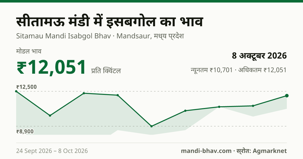 सीतामऊ मंडी में इसबगोल का भाव 8 अक्टूबर 2026: मोडल ₹12,051 प्रति क्विंटल, भाव के रुझान का चार्ट