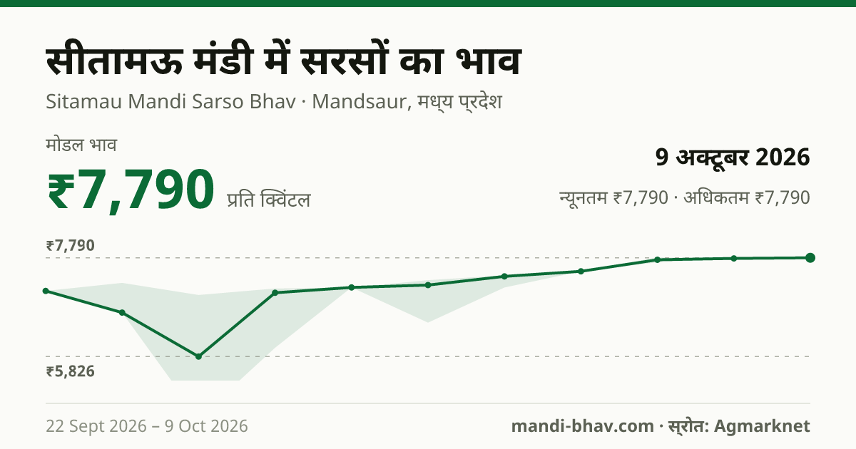 सीतामऊ मंडी में सरसों का भाव 9 अक्टूबर 2026: मोडल ₹7,790 प्रति क्विंटल, भाव के रुझान का चार्ट