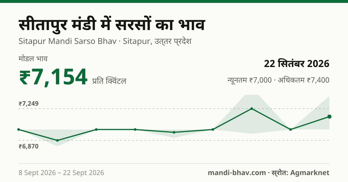 सीतापुर मंडी में सरसों का भाव 22 सितंबर 2026: मोडल ₹7,154 प्रति क्विंटल, भाव के रुझान का चार्ट