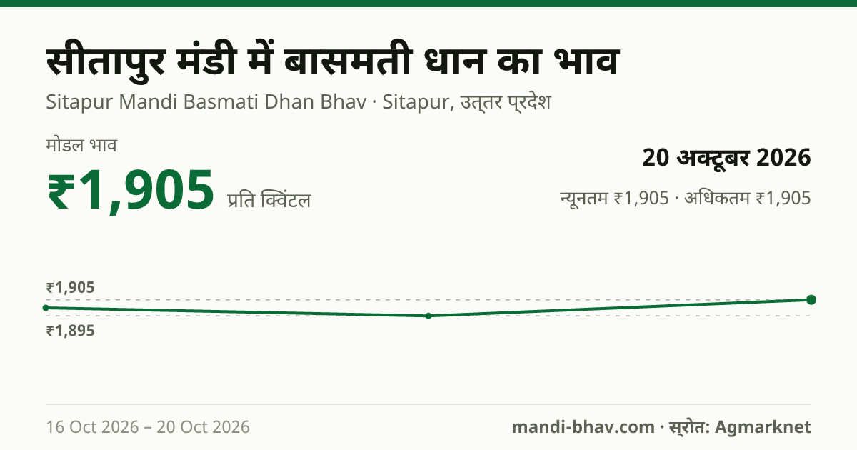 सीतापुर मंडी में Paddy(Basmati) का भाव 20 अक्टूबर 2026: मोडल ₹1,905 प्रति क्विंटल, भाव के रुझान का चार्ट